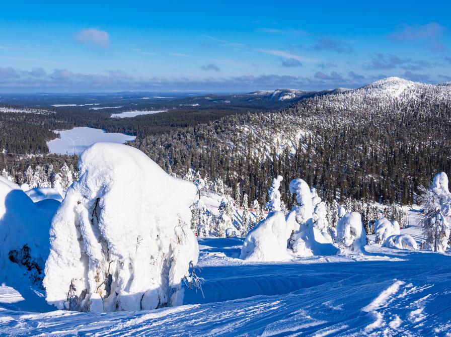 Landskab i Finland. Foto: Colourbox.dk